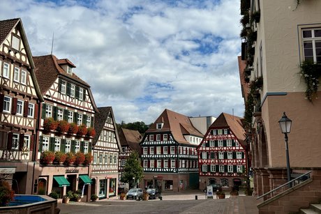Calw