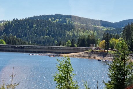 Blick auf den Schluchsee, größter Energiespeicher Deutschlands, der leider jahreszeitbedingt abgesenkt werden musste.