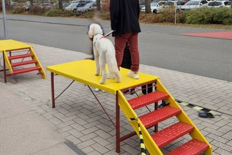 Lando steigt Treppen