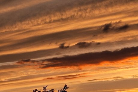 Dieses Foto wurde am 20.08.26 um 20:21 Uhr aufgenommen