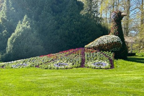 Blumengr&uuml;&szlig;e vom Pfau