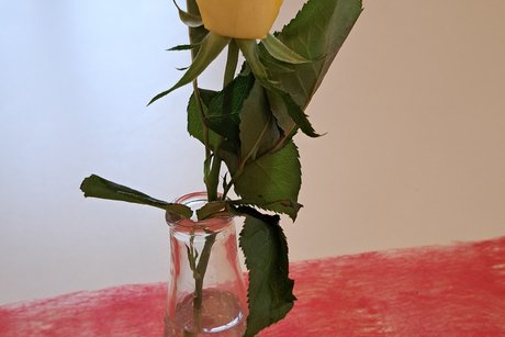 ansprechende, liebevolle Tischdeko einzelne gelbe Rose in einer kleinen Flasche auf Tisch mit rotem Tischband