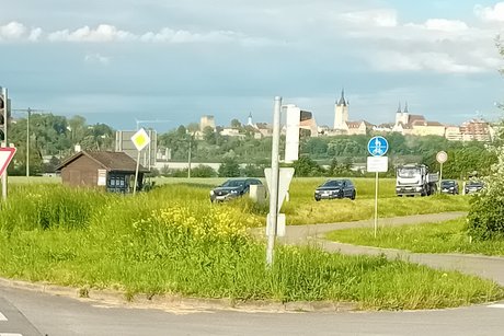 Bild zeigt im Vordergrund eine grüne Ampel und hinten den Anblick von Bad Wimpfen