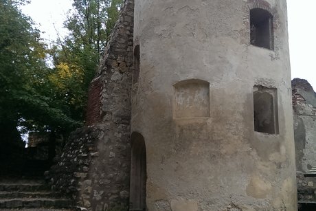 Ruine Hornstein in Bingen