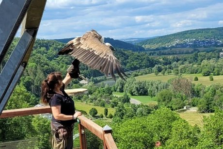Vor dem Abflug ins Tal