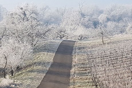 Winterimpression