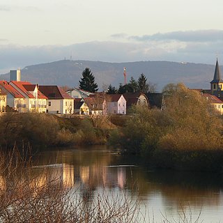 Blick auf Ilvesheim