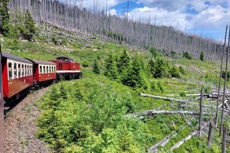 Sommerreise 2026 - Tag 5: Brocken Sommerreise 2026 - Tag 5: Brocken