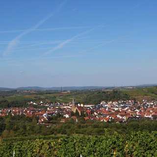 Panoramabild der Weinstadt Rauenberg im Kraichgau. Dom des Angelbachtals in der Mitte bei wolkenlosem Himmel