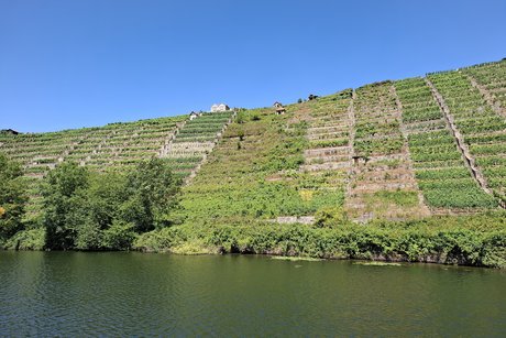 sch&ouml;ne Weinberge
