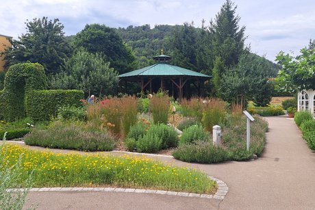 Blick in den Kr&auml;utergarten