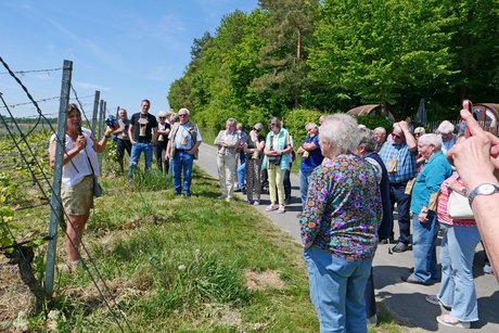 Informatives zum Weinanbau, vorgetragen von Frau Lehr