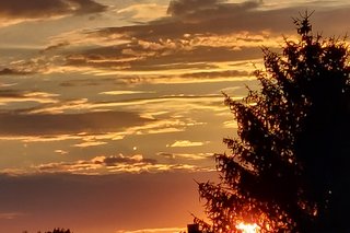 Die Sonne sagt ade und wir wünschen euch einen erholsamen Abend!