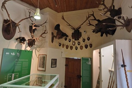 Museum: Jagdzimmer