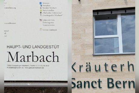 Ausflug Haupt- u. Landesgest&uuml;t Marbach u. Kr&auml;uterhaus Sanct Bernhard
