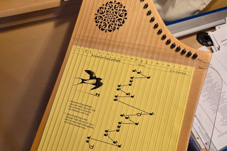 Bild einer Tischharfe