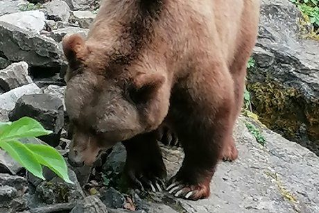 Wildtierpark in Bad Mergentheim