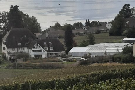 Reichenau Foto von oben