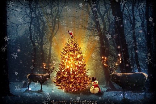 Weihnachtsfeier 13.12.2025