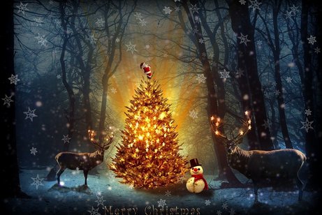 Weihnachtsfeier 13.12.2025