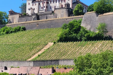 Festung Marienberg Festung