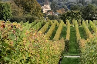 Felder der Insel Reichenau