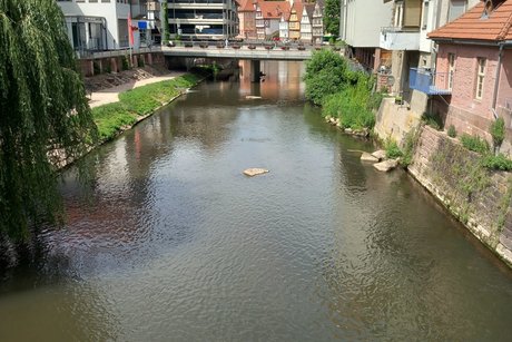 Fluss mit moderner Häuserzeile im Hintergrund und einer Brücke, die den Fluss überspannt.