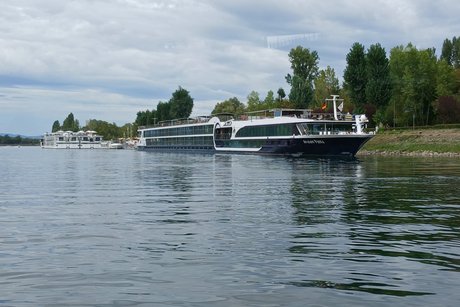 Rhein