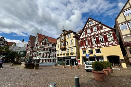 Calw