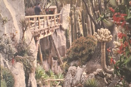 Im Botanic Center Monaco