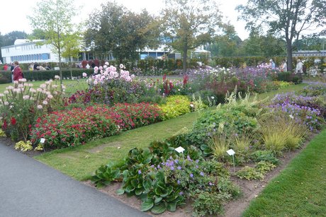 Vorbei an liebevoll gestalteten Blumenbeeten.