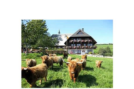 Ospelehof