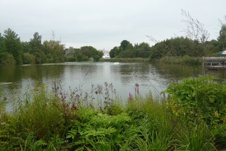 Nochmals der See aus anderer Perspektive