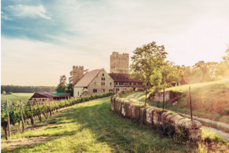 Neipperg