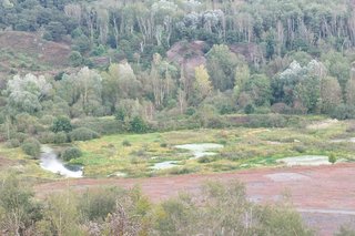 Blick in die Grube Messel