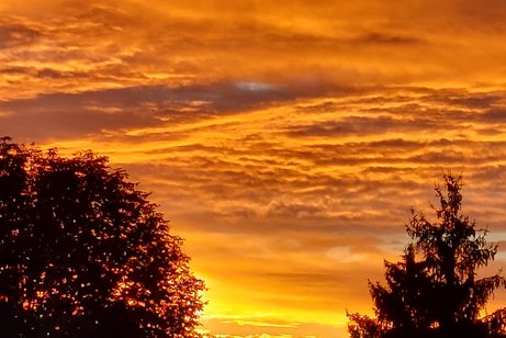 Ein leuchtend roter Montagmorgen