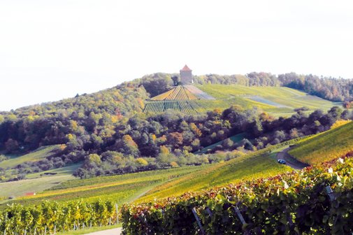 Landschaft mit Weinbergen. Im Hintergrund ein alter Whrturm