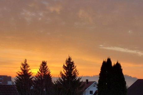 Und wieder ein farbenprächtiges Morgenrot vom Samstag