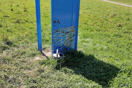 blaue Tür