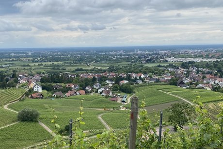 Blick in die Ortenau