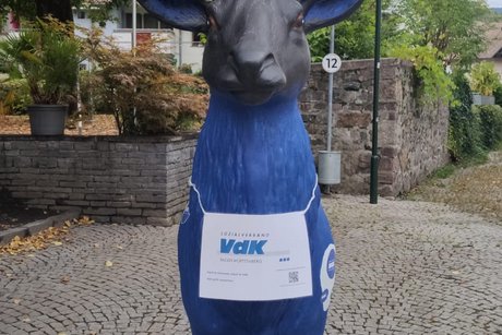 Der Schönauer Hirsch von vorne mit Schild um den Hals mit der Aufschrift VdK, dem Text: Alles geht zusammen und VR-Code