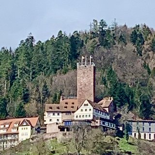 Die Burg wird als EU-Seminarhaus genutzt