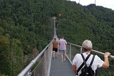 Hängebrücke Auf der Hängebrücke