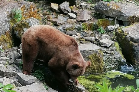 Wildtierpark in Bad Mergentheim