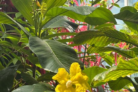 Ausflug Tübingen Botanischer Garten
