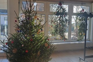 geschmückter Weihnachtsbaum und Fensterdekoration