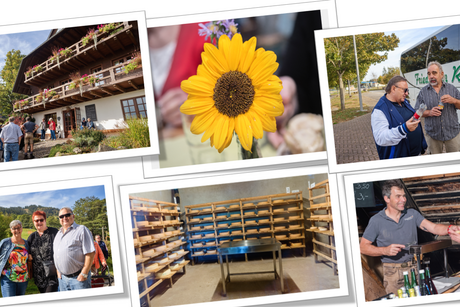 Bildercollage 1 vom Ausflug