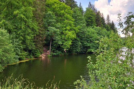 Kaffeefahrt 01.07.2025