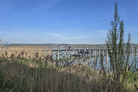 Blick Richtung Allensbach