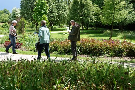 Arboretum Volcji Potok
